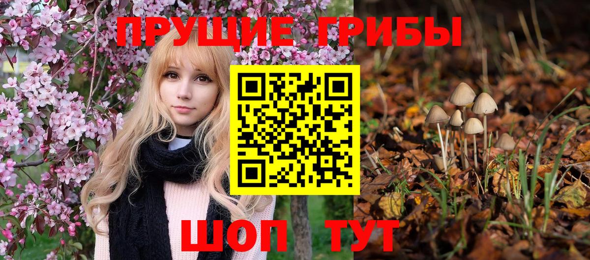 Кунгур  Псилоцибиновые грибы MAGIC MUSHROOMS  Псилоцибиновые грибы прущие грибы  Вход с VPN 